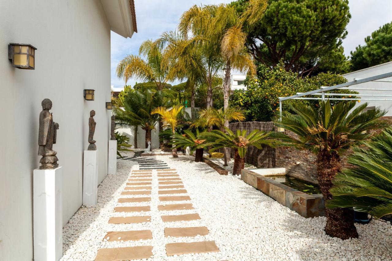 Chalet Con Piscina Privada En 마자곤 외부 사진